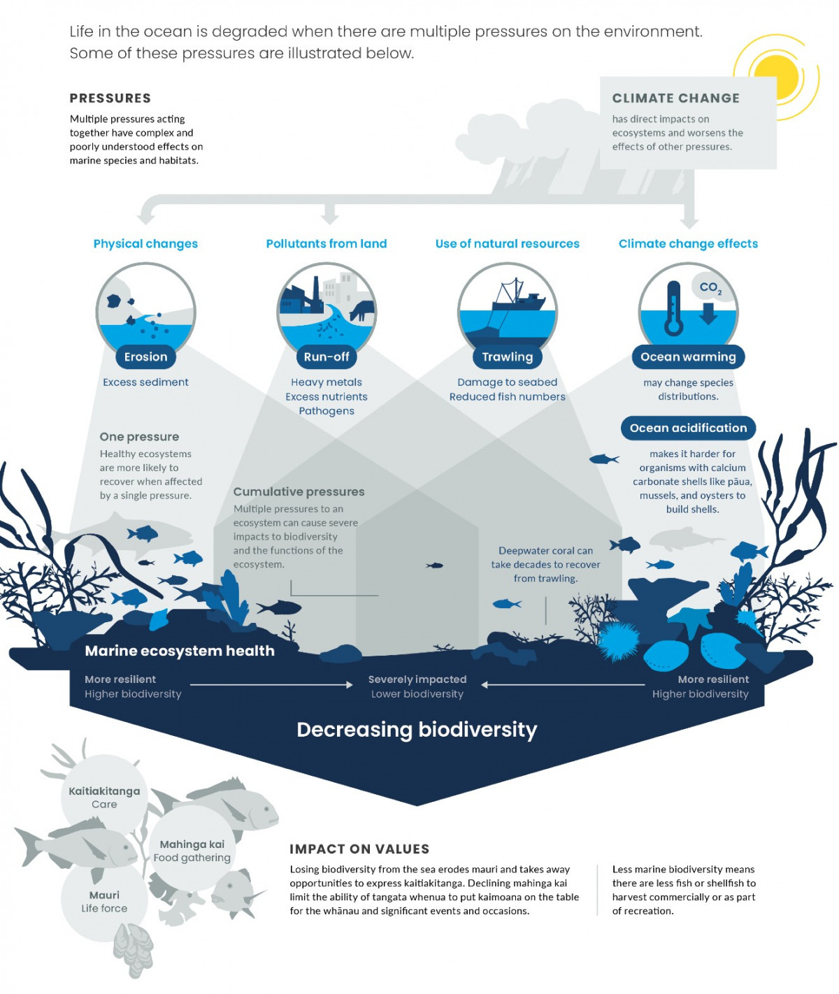 Cumulative pressures on the marine environment. Infographic.