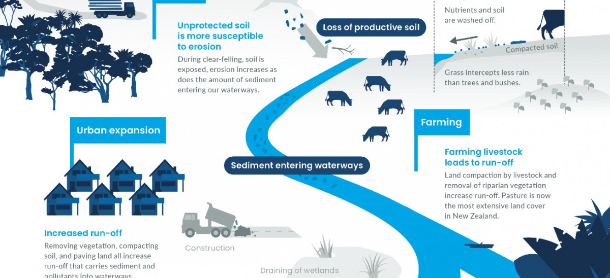 Theme 2: How we use our land | Ministry for the Environment