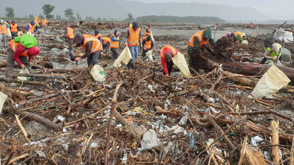 People in high-vis vests pick up plastic rubbish tangled in a large pile of wood on a riverbed.