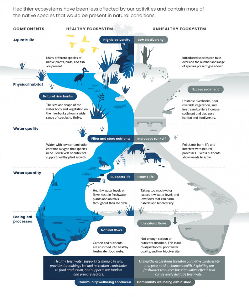 Freshwater ecosystem health. Infographic.