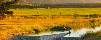 A rural scene with flat farmland and dry hills behind. In the foreground, water cascades over a small weir.