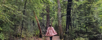 A person walks along a track in a beech forest, holding out the hem of their pink coat.