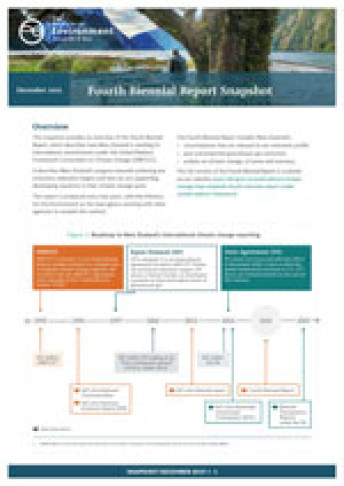 4th Biennial Report Snapshot 2019 thumbnail 150