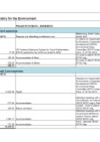Cover for chief executive expenses 01 jan 2013 to 30 jun 2013
