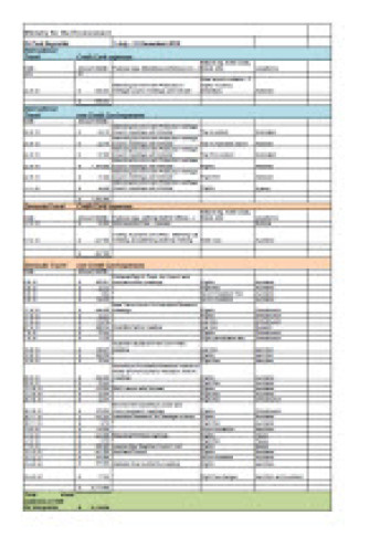 Cover for chief executive expenses 01 jul 2010 to 31 dec 2010