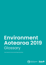 Publication cover for Environment Aotearoa 2019: Glossary