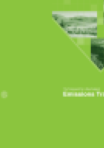 Framework emissions trading scheme Sept 07