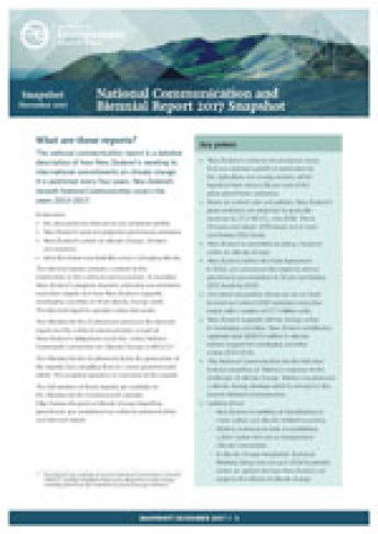 Snapshot webcover