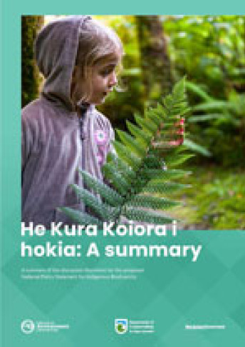Summary cover thumbnail