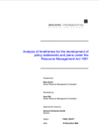 analysis timeframes for development of policy statements plans under rma
