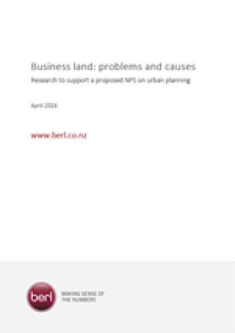 cover of busines land problems and causes report
