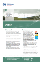 enz07 energy info sheet jun08