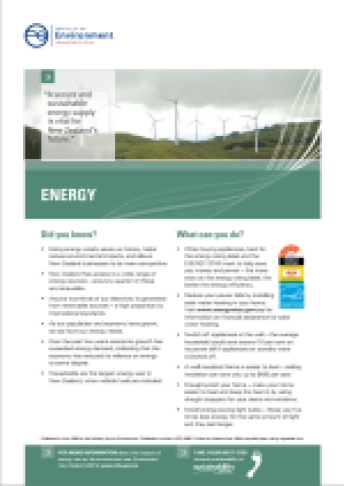 enz07 energy info sheet jun08