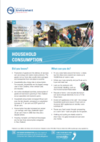 enz07 household consumption info sheet jun08