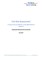 fire risk assessment cover web