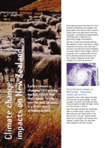 info 95 cover