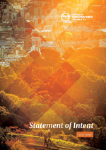 mfe statement of intent 2016 cover small