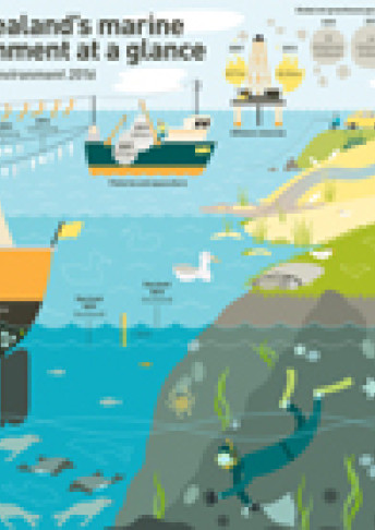 our marine environment infographic thumbnail cropped cover