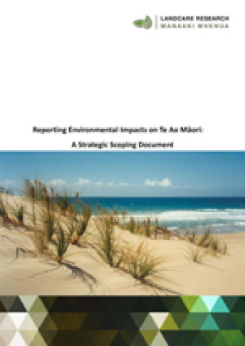 priorities for te ao maori reporting cover small