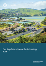 regulatory stewardship strategy cover web