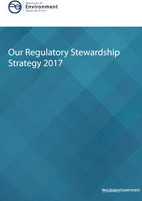 regulatory stewardship strategy cover 0