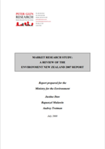 review environz07 report