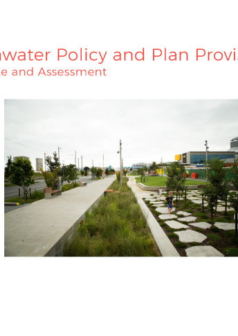 stormwater policy plan provisions cover