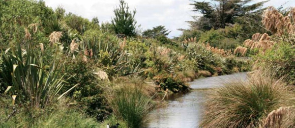 Source: Courtesy of Taranaki Regional Council.