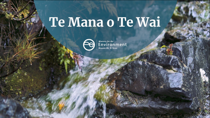 Te Mana o Te Wai