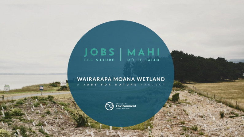Wairarapa Moana Wetlands Jobs for Nature