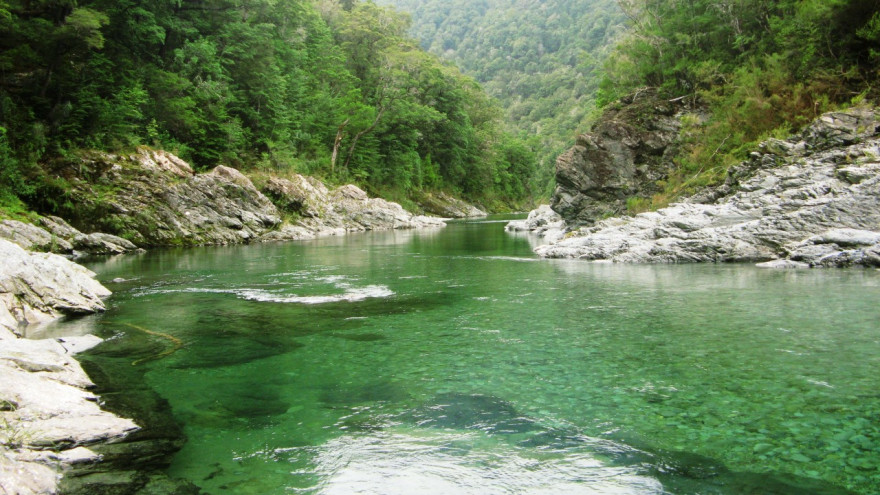 Pelorus River