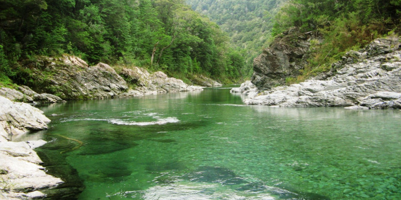 Pelorus River