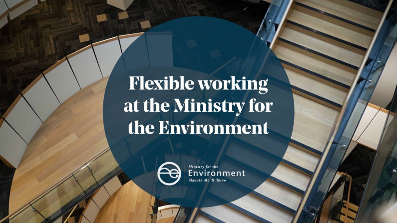 Thumbnail of video 'Flexible working at the Ministry for the Environment'.