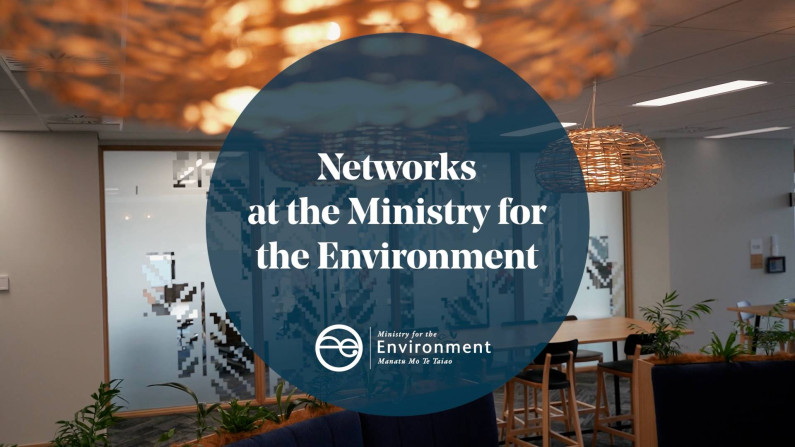 Thumbnail of video 'Networks at the Ministry for the Environment'.