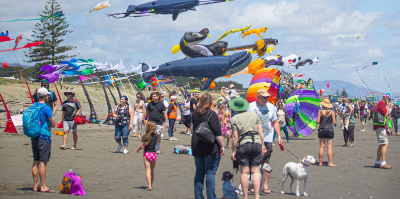 A crowd of people gather on a beach, flying a variety of brightly coloured kites in different shapes and sizes.