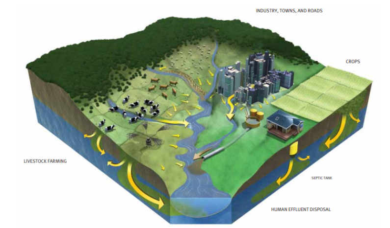 Common Sources of Freshwater Pollution