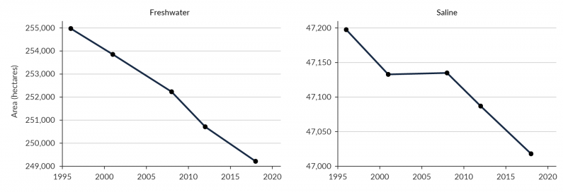 Two line graphs showing declines in both freshwater and saline wetland area over time.