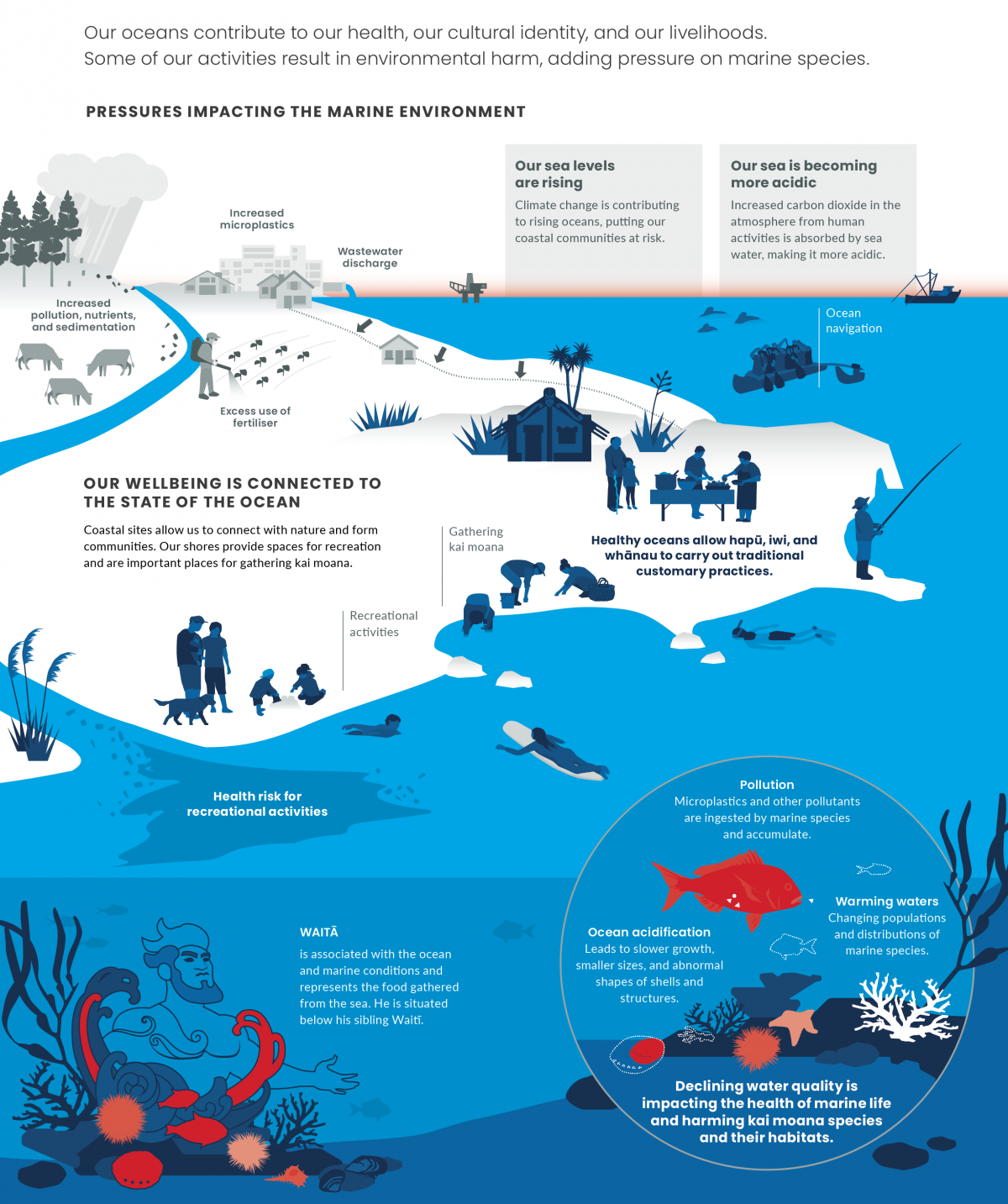 Climate change takes habitat from big fish, the ocean's key predators