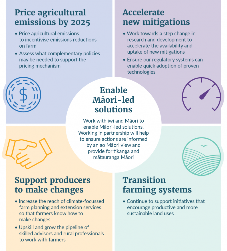 An infographic outlining five focus areas for agriculture: price agricultural emissions by 2025, accelerate new mitigations, support producers to make changes, transition farming systems, and enable Māori-led solutions. Enabling Māori led solutions sits a