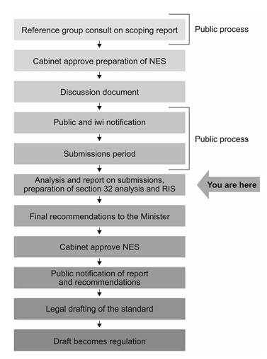 NES development process
