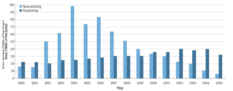 New plantings and replanting of exotic forestry