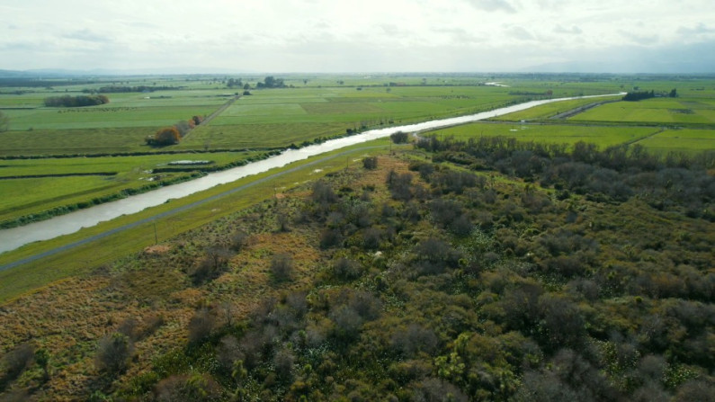 Piako Green Corridor