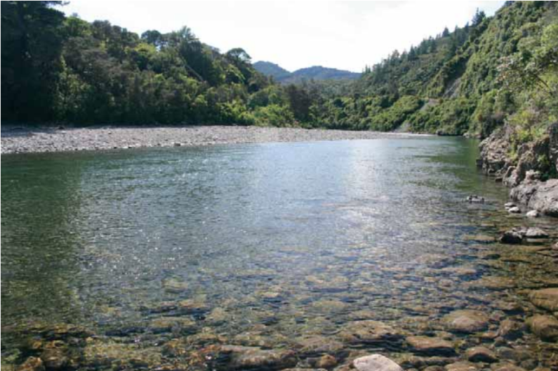 Waiohine River Gorge