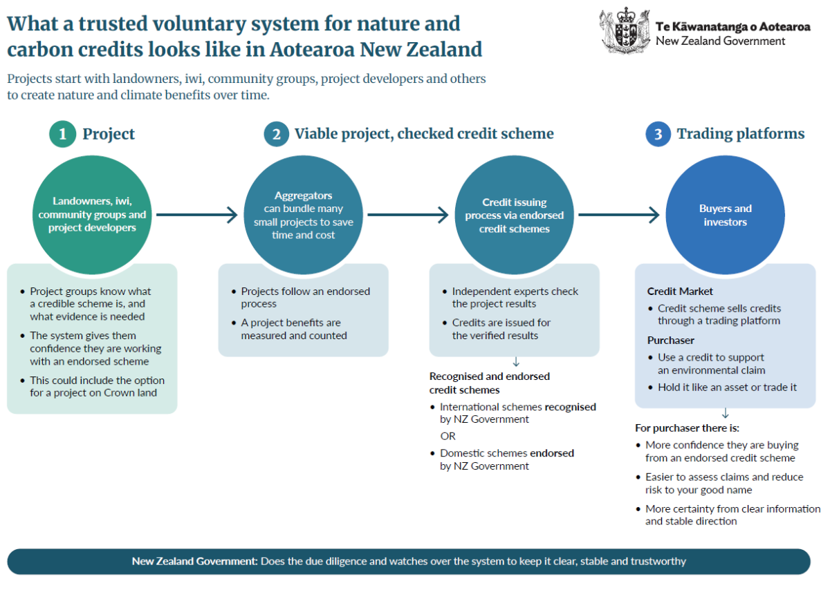What a voluntary system for nature and carbon credits looks like in Aotearoa New Zealand