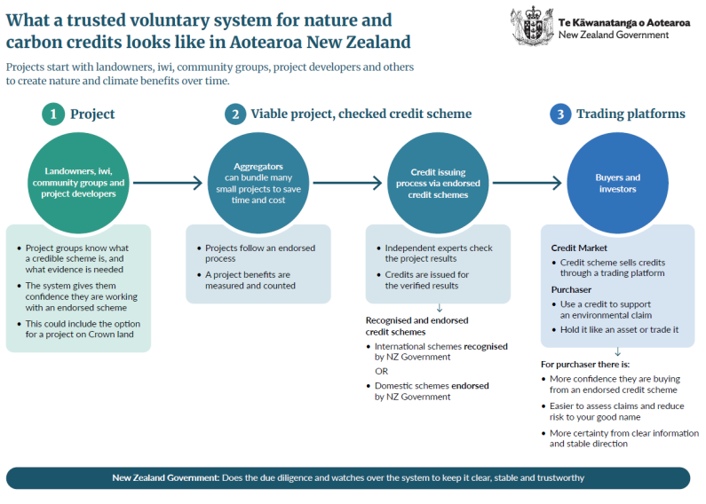 What a voluntary system for nature and carbon credits looks like in Aotearoa New Zealand