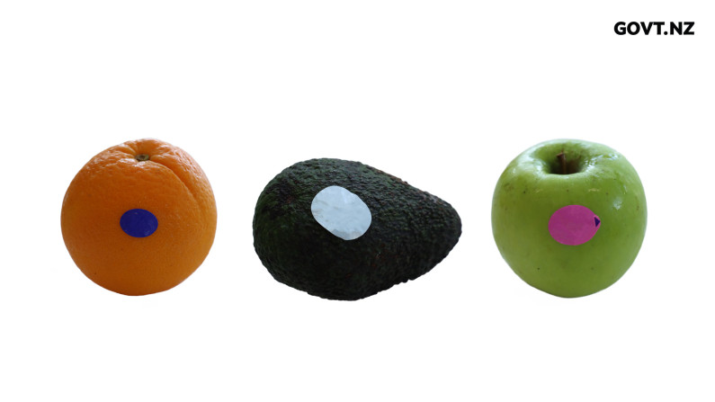 A line up of an orange, avocado, and an apple, each with a banned plastic produce sticker on them. 