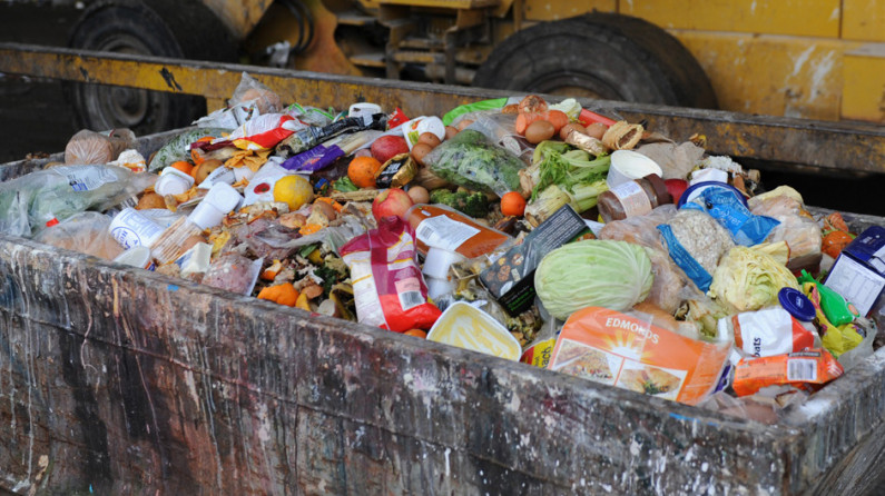 A photo of a large bin, piled high with food waste.