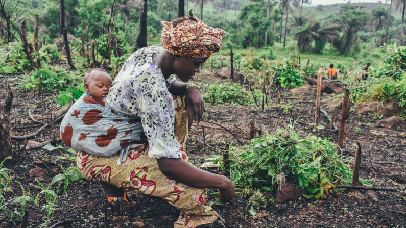 Mother with baby cultivating crop