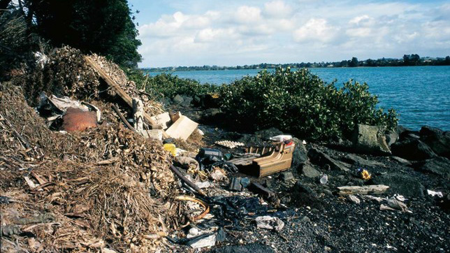 illegally dumped waste mfe