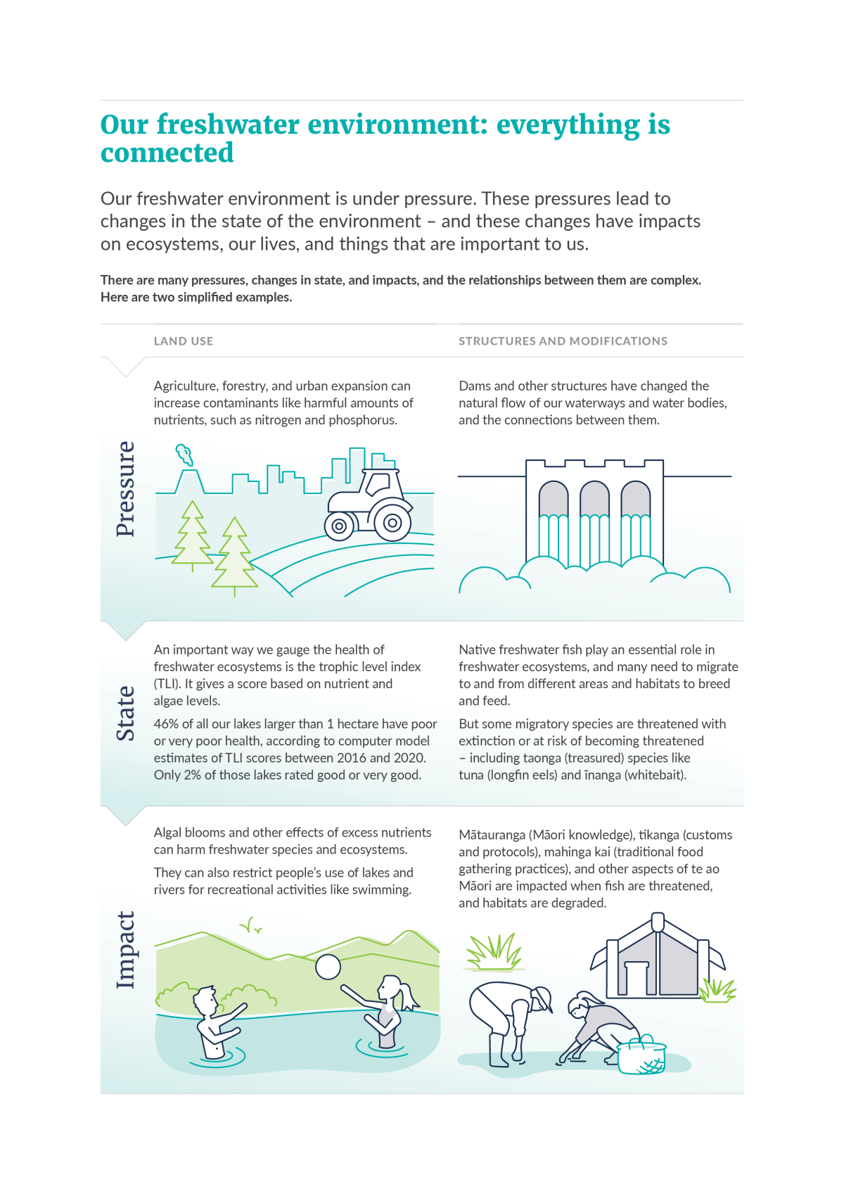 Our freshwater environment: everything is connected infographic. Read description for full text.
